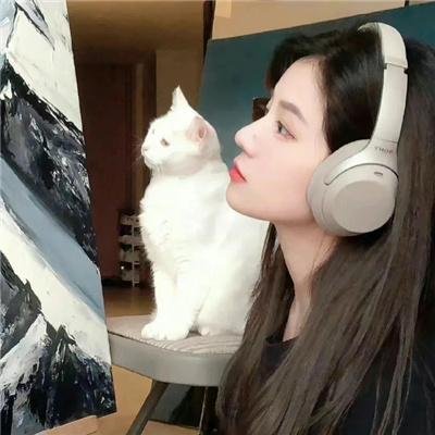 三只流浪猫